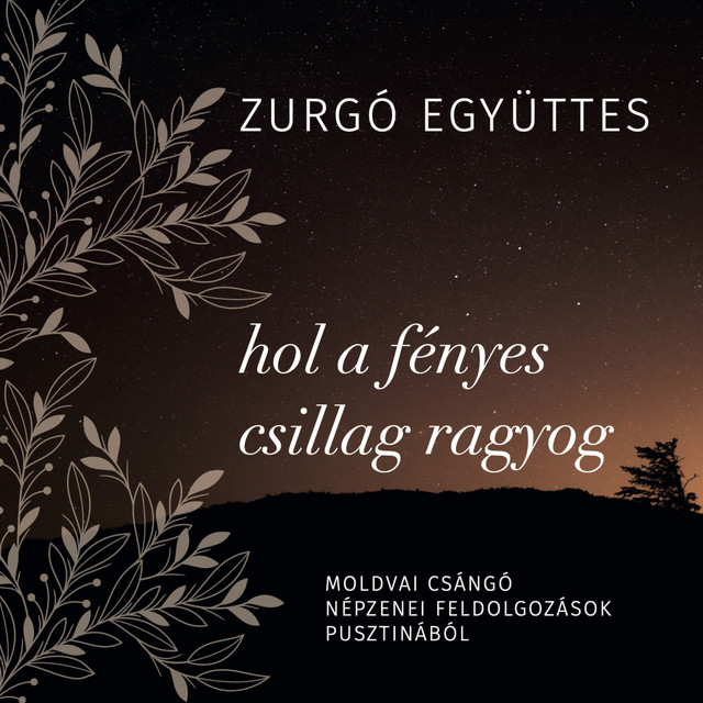 Hol a fényes csillag ragyog (Moldvai csángó népzenei feldolgozások Pusztinából) cover art