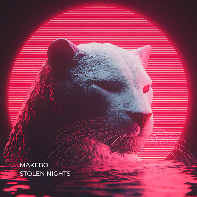 Stolen Nights - Extended Mix album art