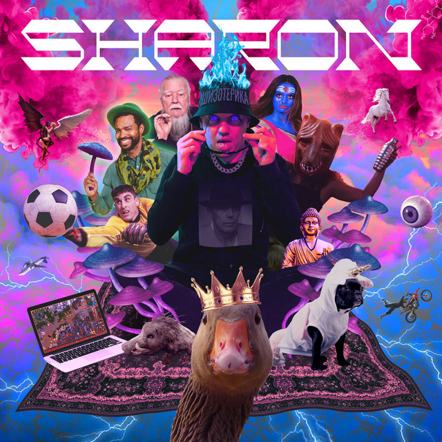 Шизотерика cover art