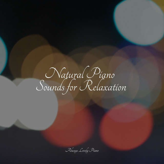 Calm Piano Music for Meditation - Album by Piano Bar | Spotify