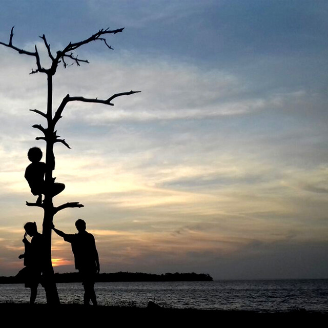 undefined album image