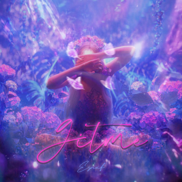 Gitme cover art