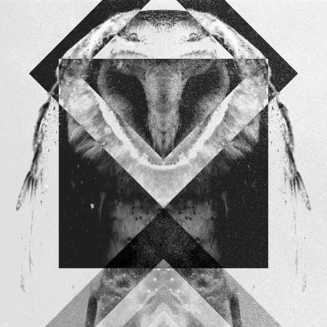 Dead & Gone (single)