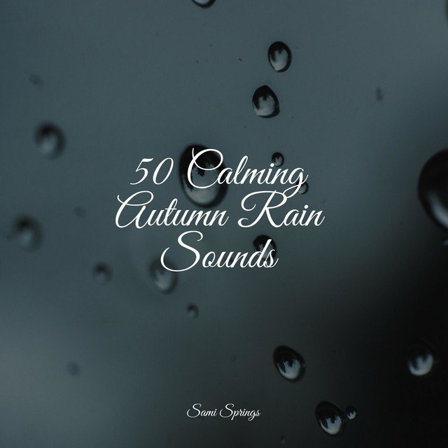 50 Calming Autumn Rain Sounds - Album by Pink Noise | Spotify