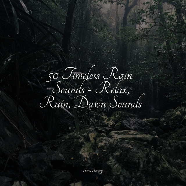 50 Timeless Rain Sounds - Relax, Rain, Dawn Sounds - Album by Rain ...