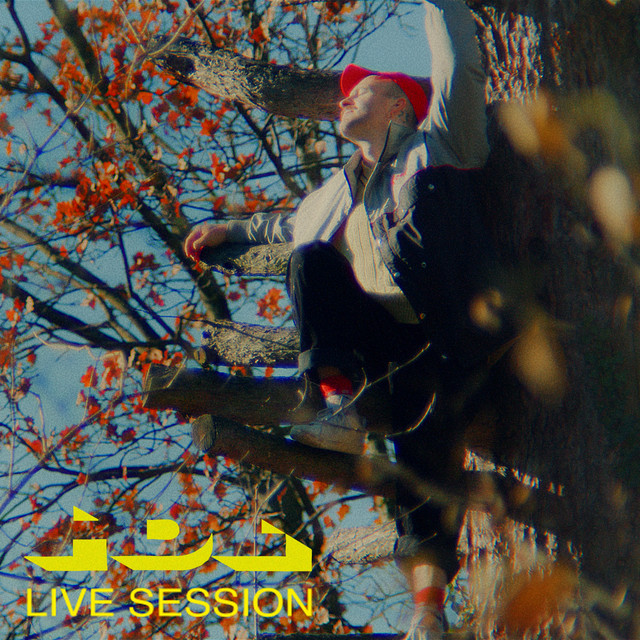 Fizz - Live