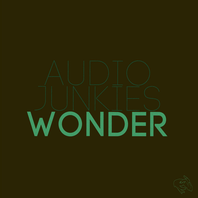 Обкладинка Audio Junkies — Wonder