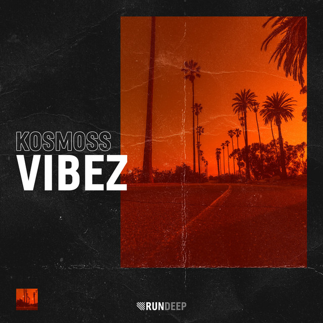 Vibez cover