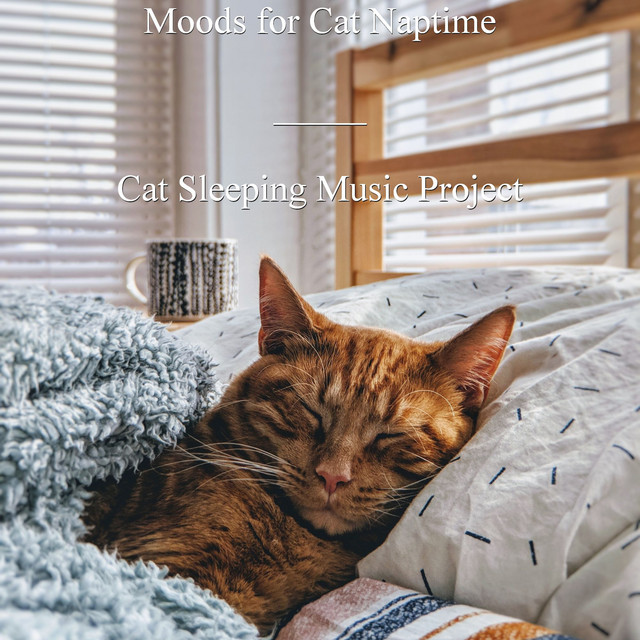 Moods for Cat Naptime cover art