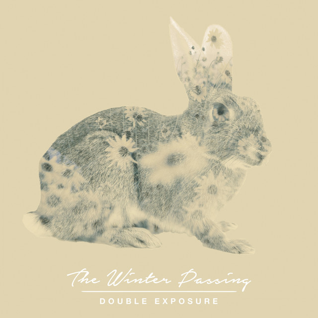Paper Rabbit cover