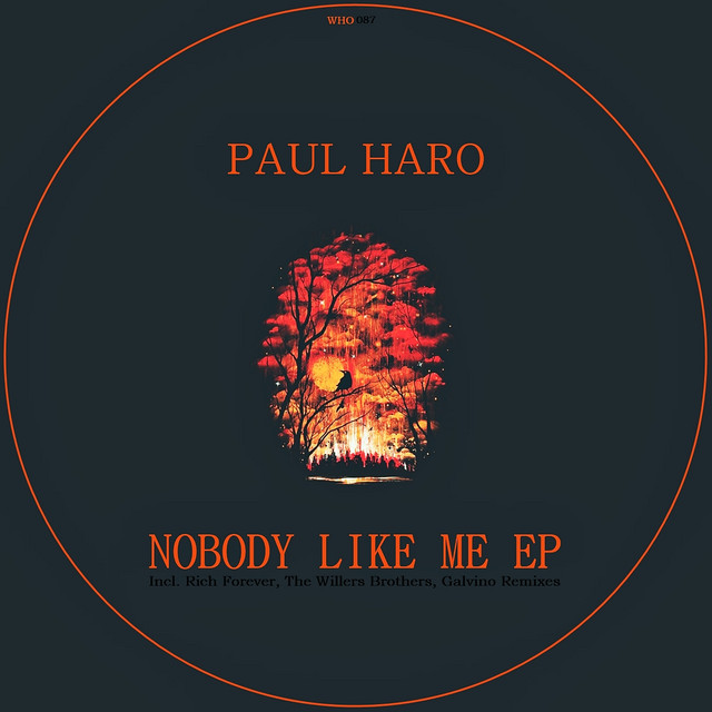Nobody Like Me - Rich Forever Remix album art