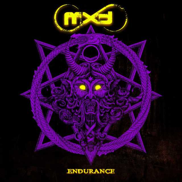 Endurance cover art