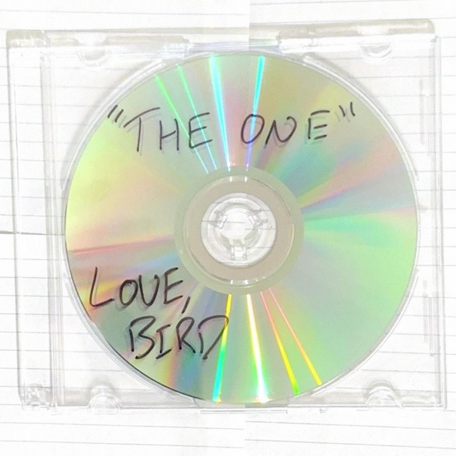 the one cover art