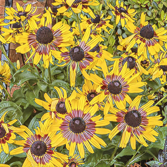 Flower cover art