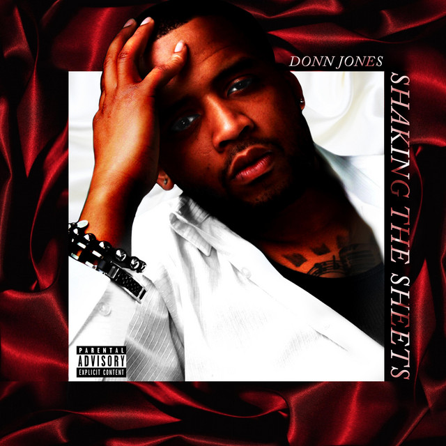 Shaking the Sheets cover art