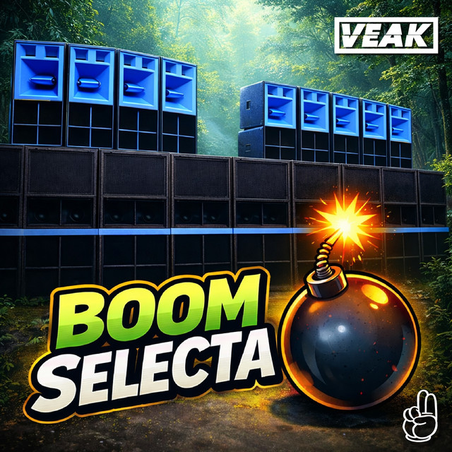 Boom Selecta cover art