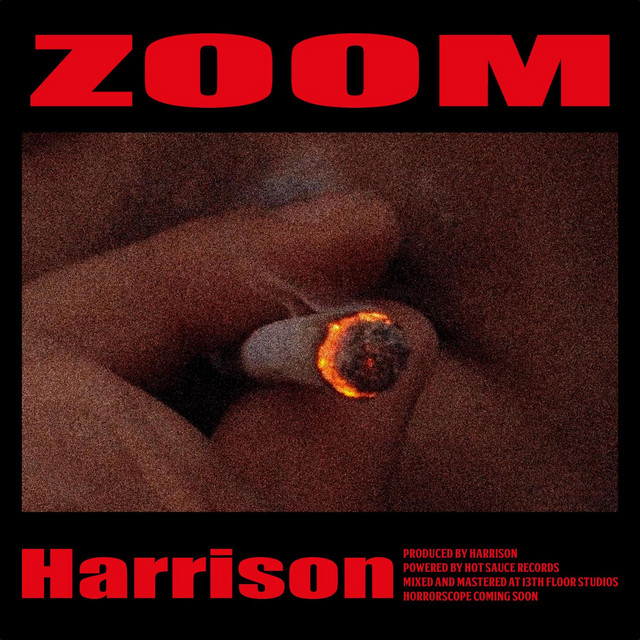 Zoom cover art