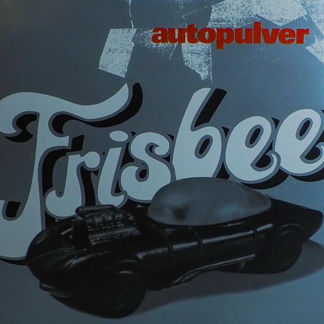 Frisbee cover
