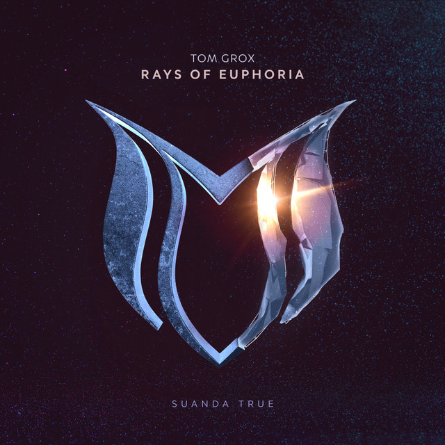 Rays Of Euphoria - Extended Mix album art
