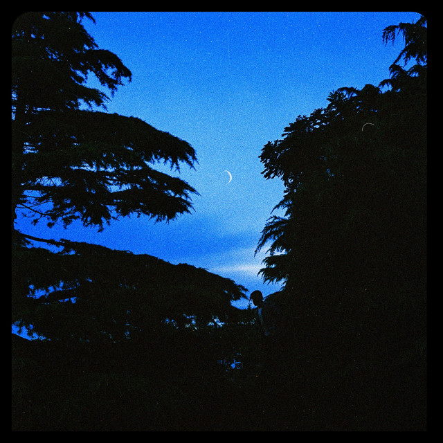 Time Will Tell cover art