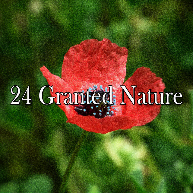 24 Granted Nature - Album by Nature Sounds Nature Music | Spotify