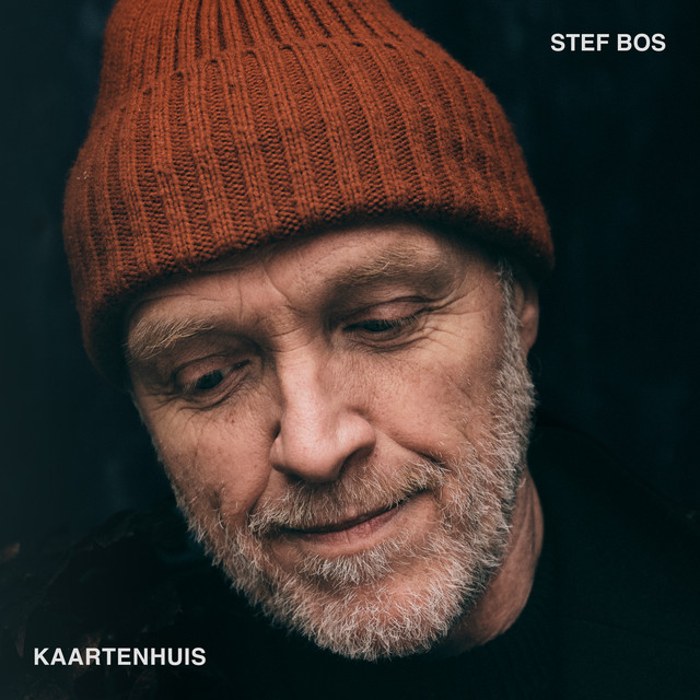 Kaartenhuis cover art
