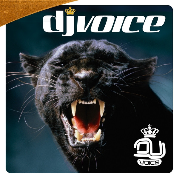 DJ Voice Vol 2 2006 cover art