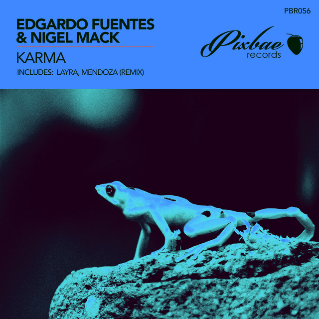 Karma cover