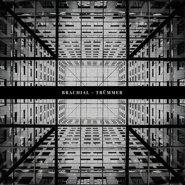 Trümmer cover art