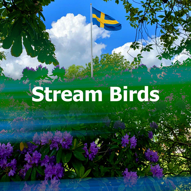Stream Birds - Album by The Relaxing Sounds of Swedish Nature | Spotify