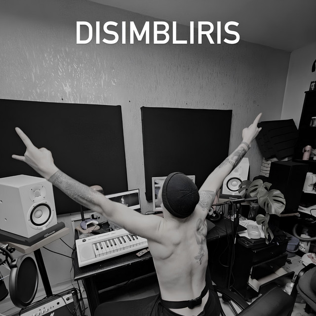 Обкладинка Disimbliris — Я в нормі