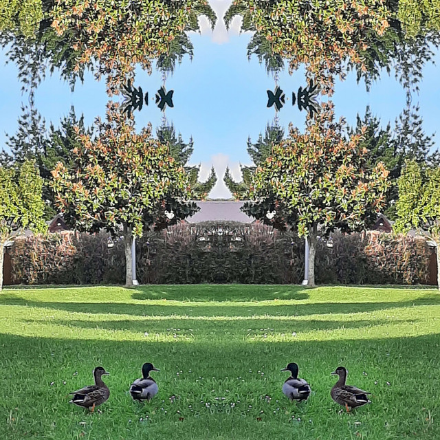 Good Weather cover art