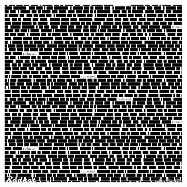 Redact cover art