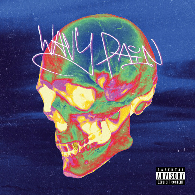 Wavy Pain cover art