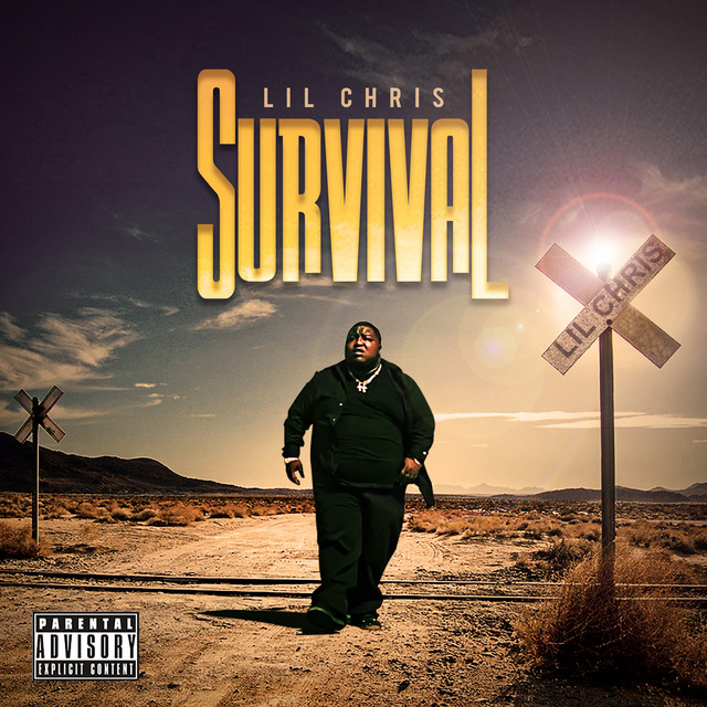 Survival cover art