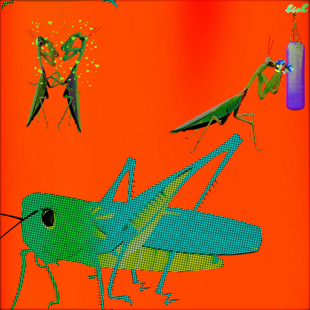 Bookworm cover art