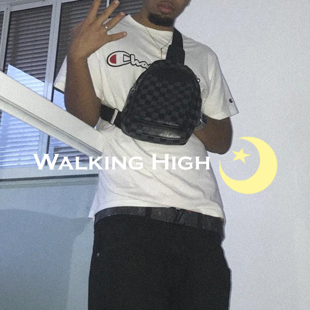 Walking High cover art