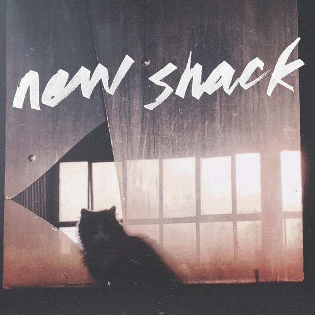 New Shack (Deluxe Edition) cover art
