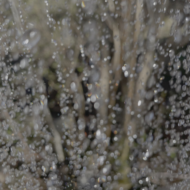 Rainy Tuesday