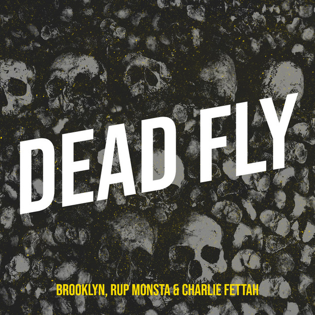 Dead Fly cover art
