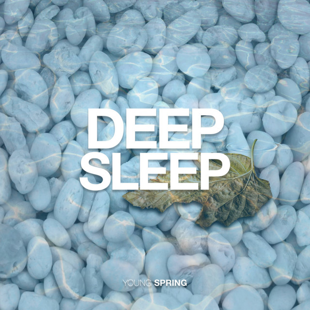 Deep Sleep cover art