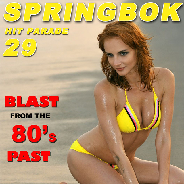 Springbok Hit Parade, Vol. 29 cover art