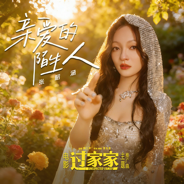 亲爱的陌生人 - 电影《过家家》主题推广曲