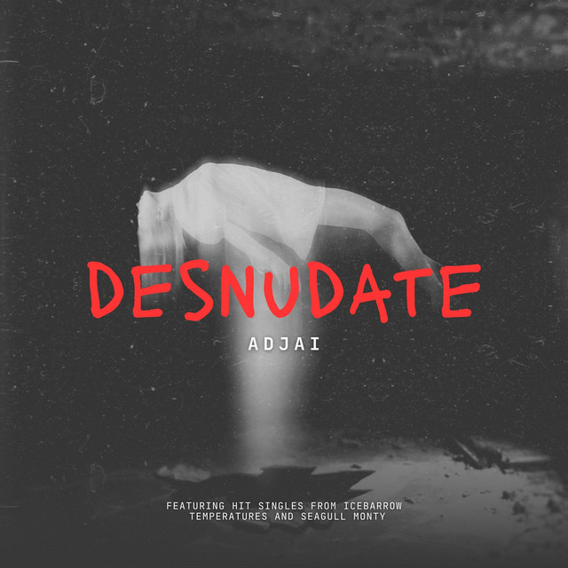 DESNUDATE cover