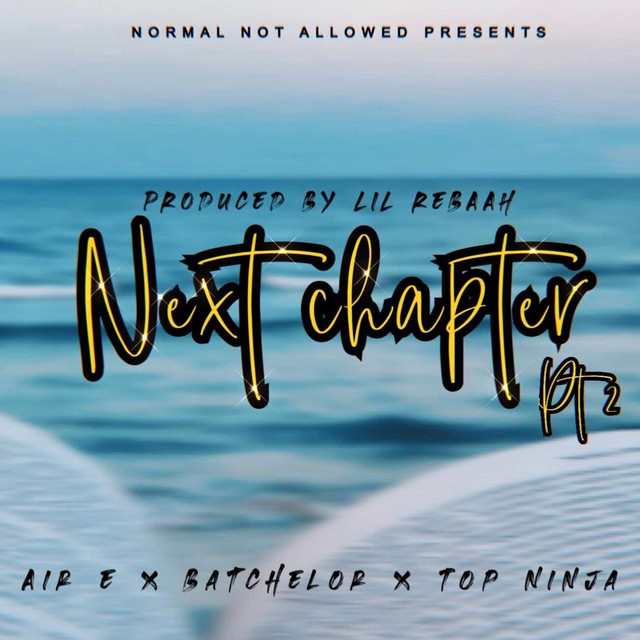 Next Chapter, Pt. 2 cover art