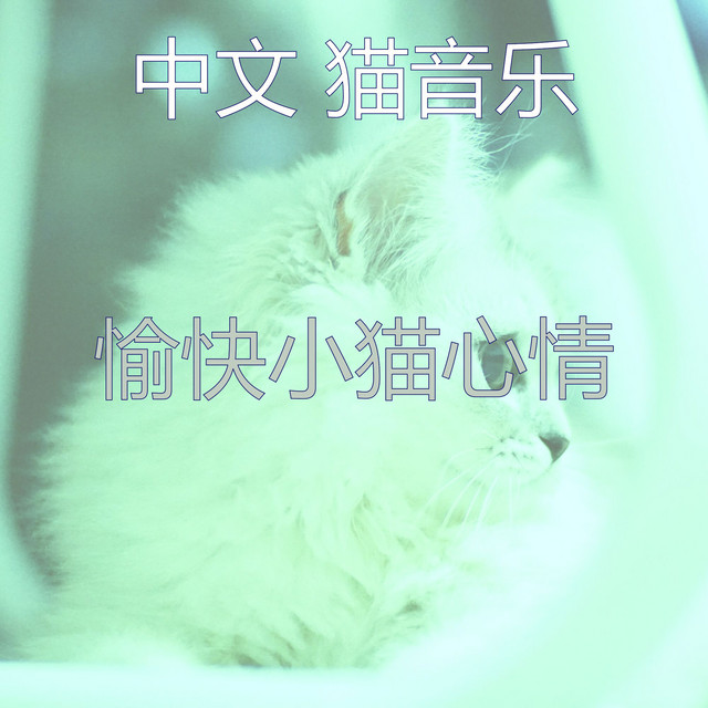 猫虫 Photo