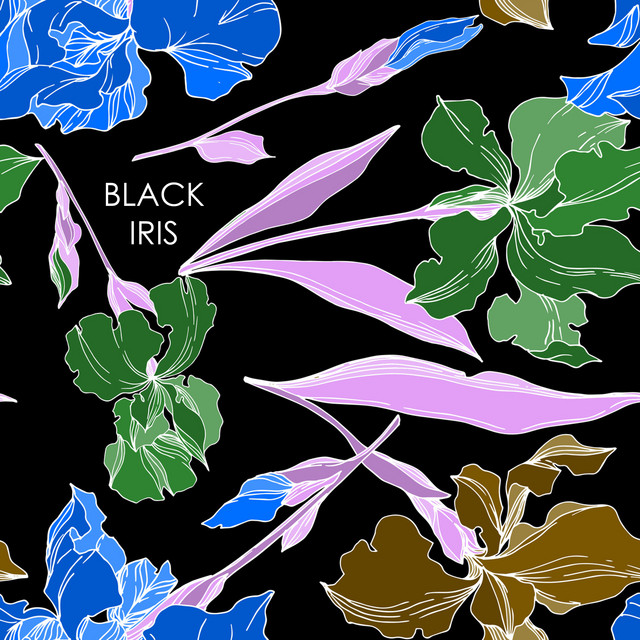Black Iris cover art