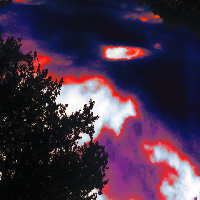 Victim cover art