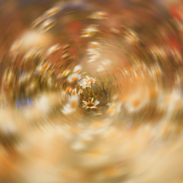 October artwork