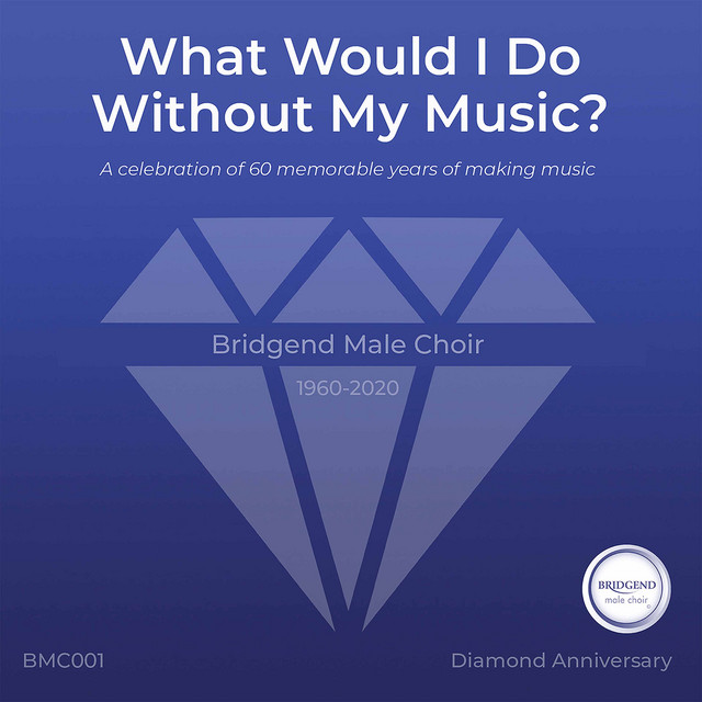 What Would I Do Without My Music? cover art